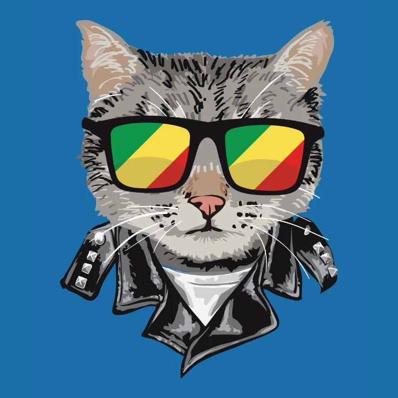 Lunettes de soleil pour chat avec drapeau du Congo