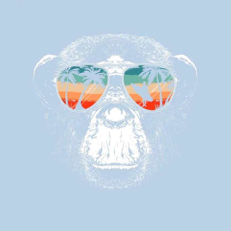 Monkey Monkey Animal Gorilla Chimpanzee