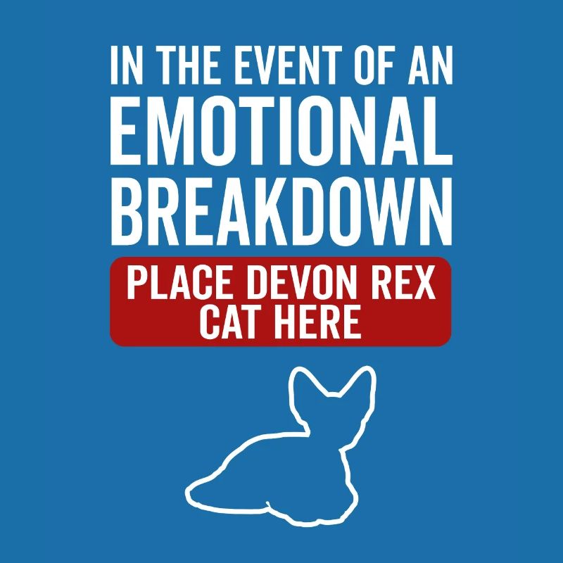 Emotional - Devon Rex Cat