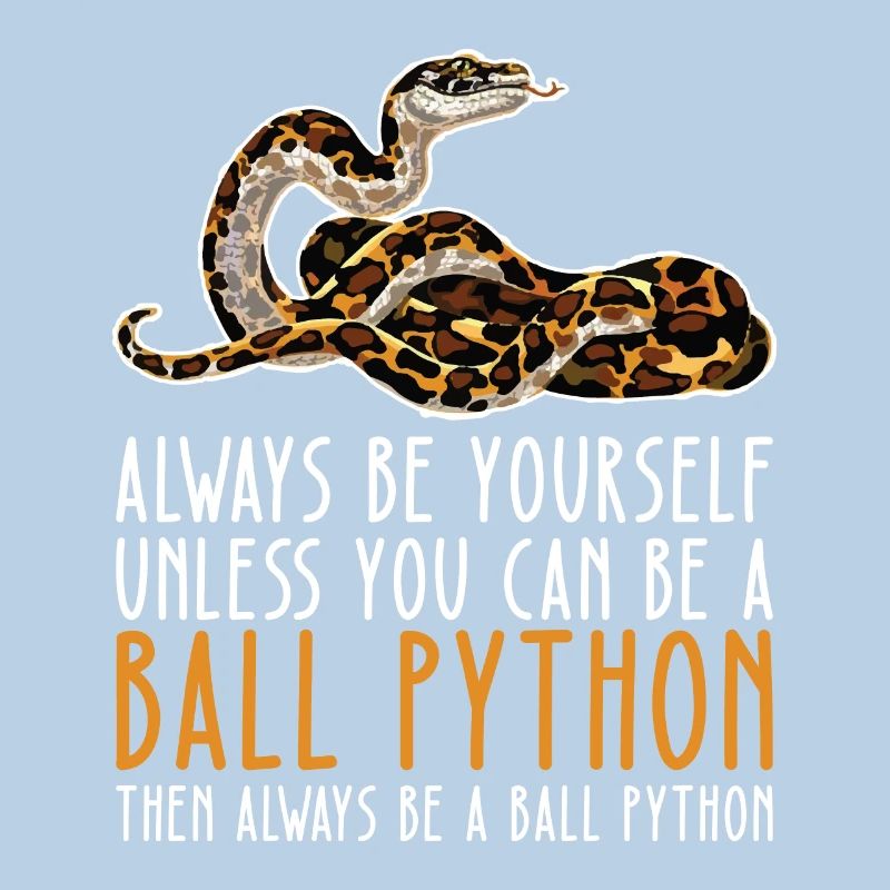 Soyez vous-même – King Python