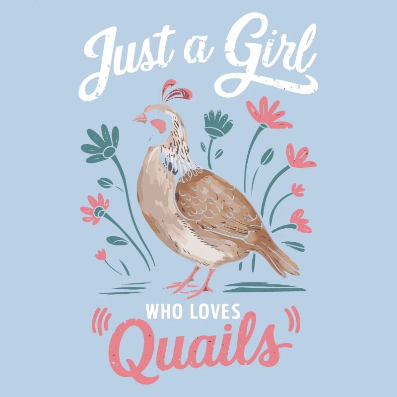 Quail Bird Quails