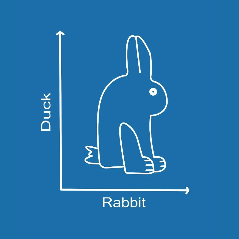 DUCK RABBIT - Rabbit Duck - Graph lesson