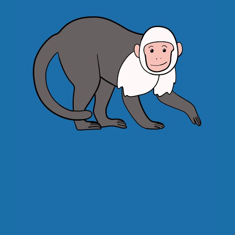 Capuchin Monkey Monkey