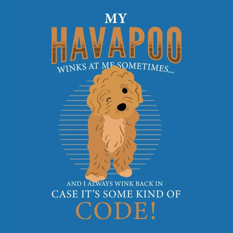 havapoo, havapoo puant métis, havapoo humor,