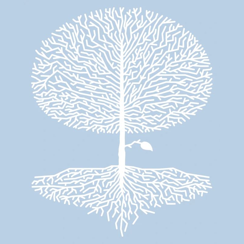 Deciduous Tree Crown Forest Oak Beech Nature Linden Branches
