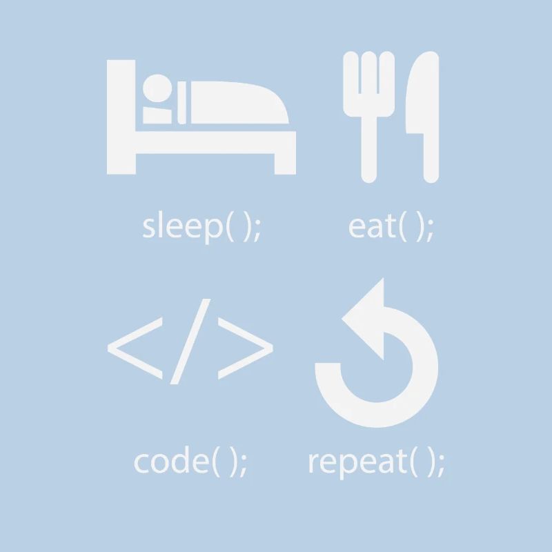 Programmer Developer - Eat Sleep Code Repeat