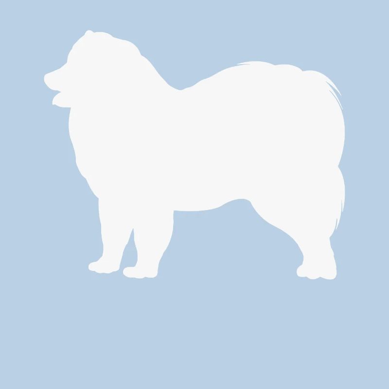 Samoyed