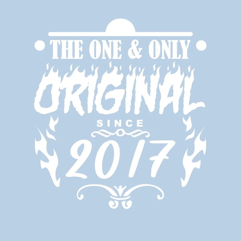 2017 - Année de construction 2017 - Année de construction 2017