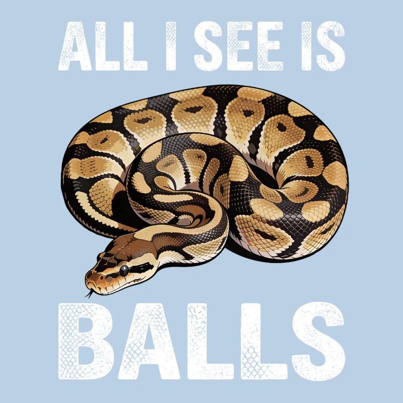 Python roi Serpents Amateurs de terrarium Python