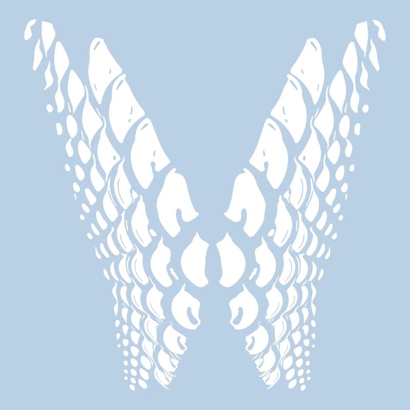 Geometric points in wing shape