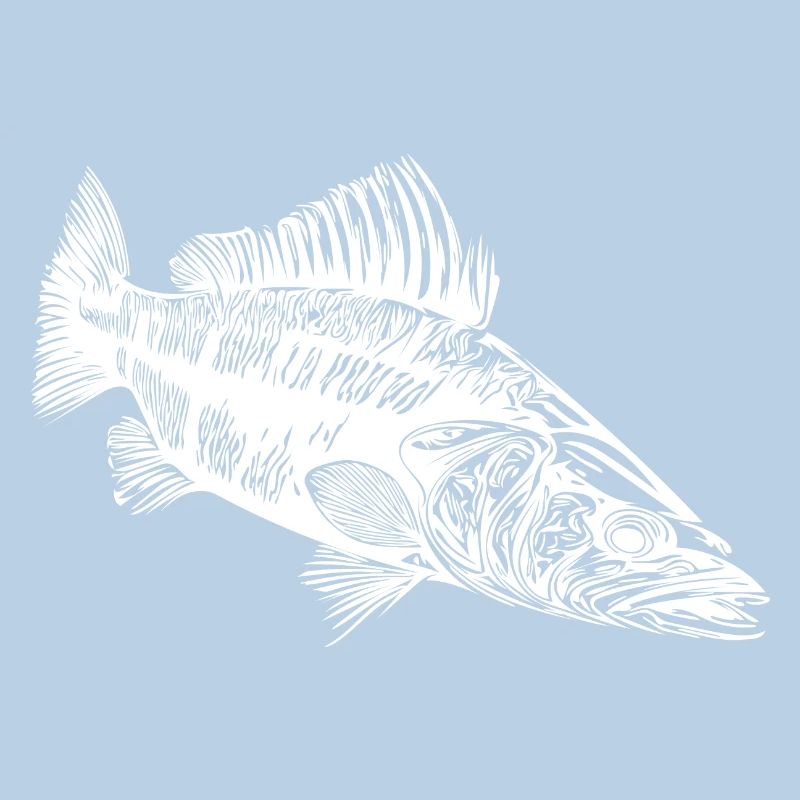 Predator Zander for Hobby Predator Anglers