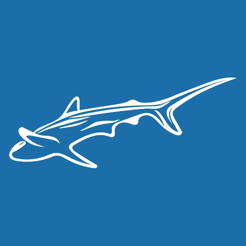 Requin élégant dans le courant de dérive