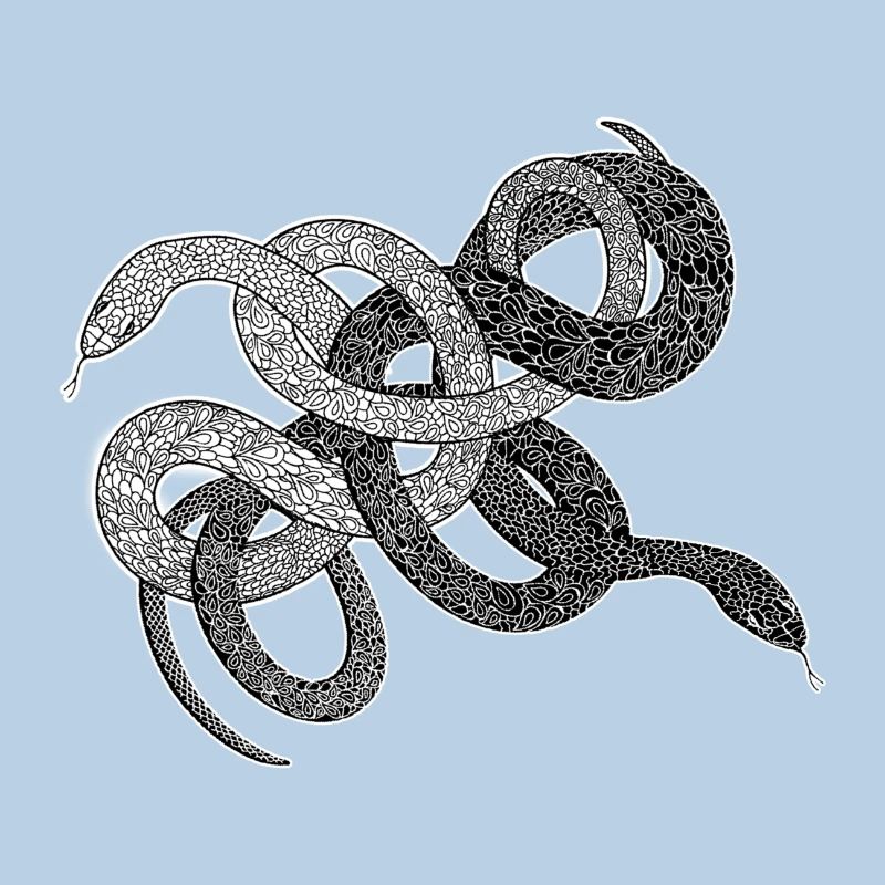 Snakes gift python anaconda snake