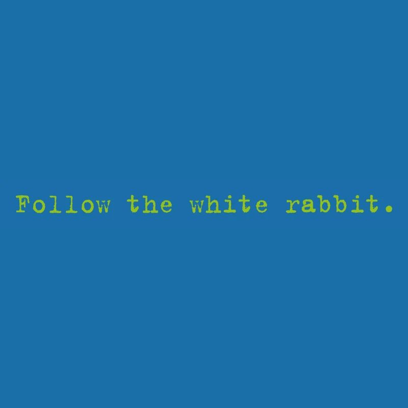 Follow the white rabbit Programming Informatik