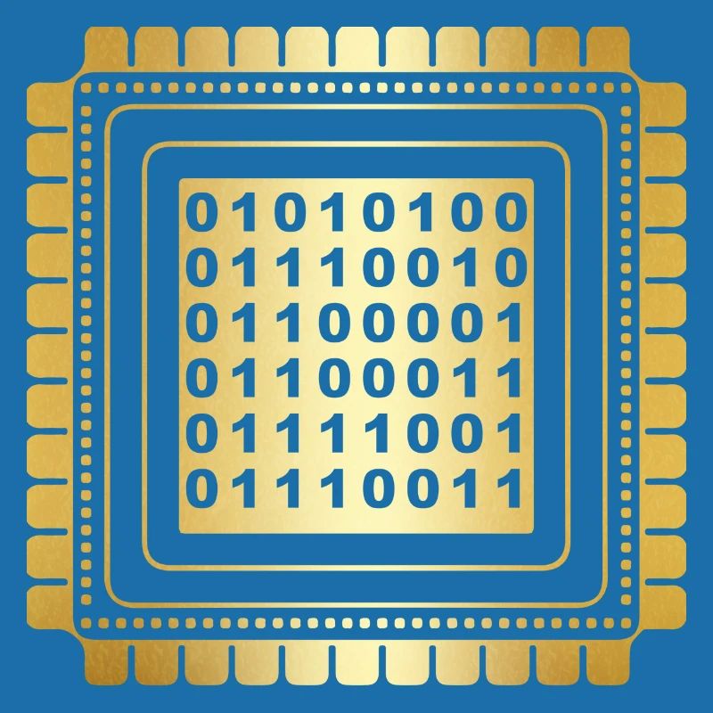 Programmer Coder Software Developer