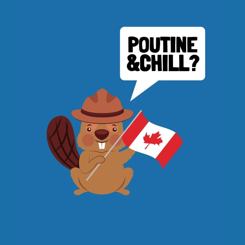 Cheese Curds Gravy Mix Canada Poutine