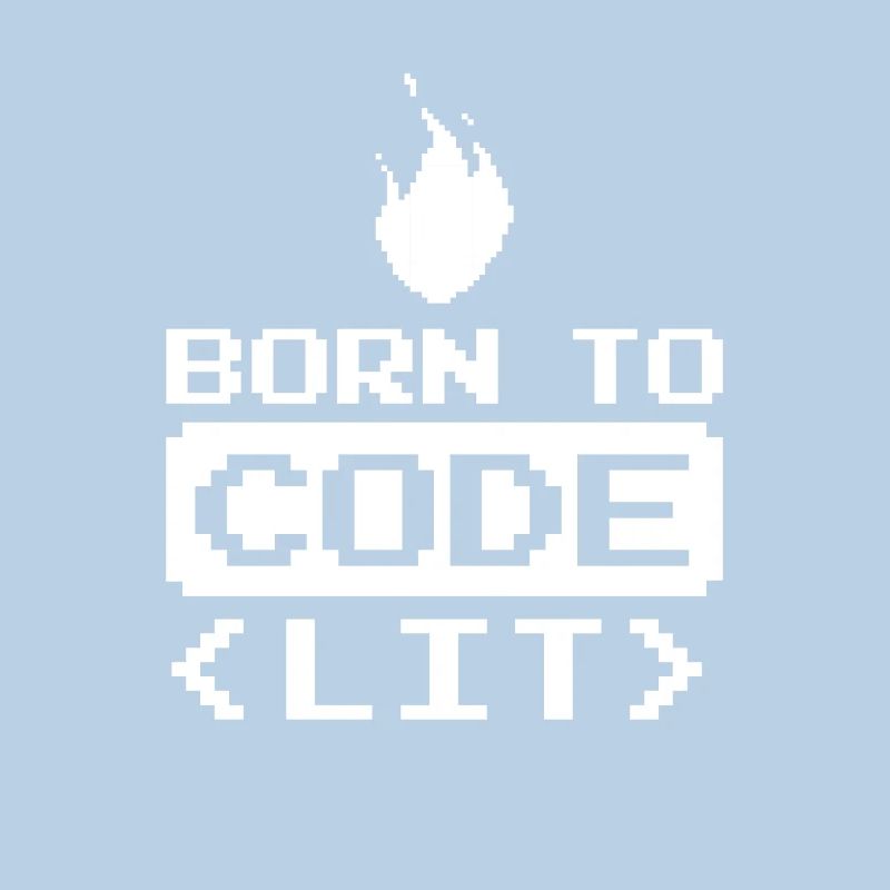 Developer Coder Programmer Funny