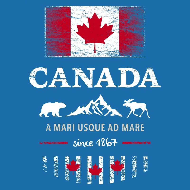 Canada Canada America maple leaf flag flag