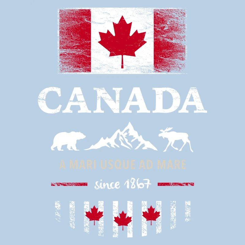 Canada Canada America maple leaf flag flag