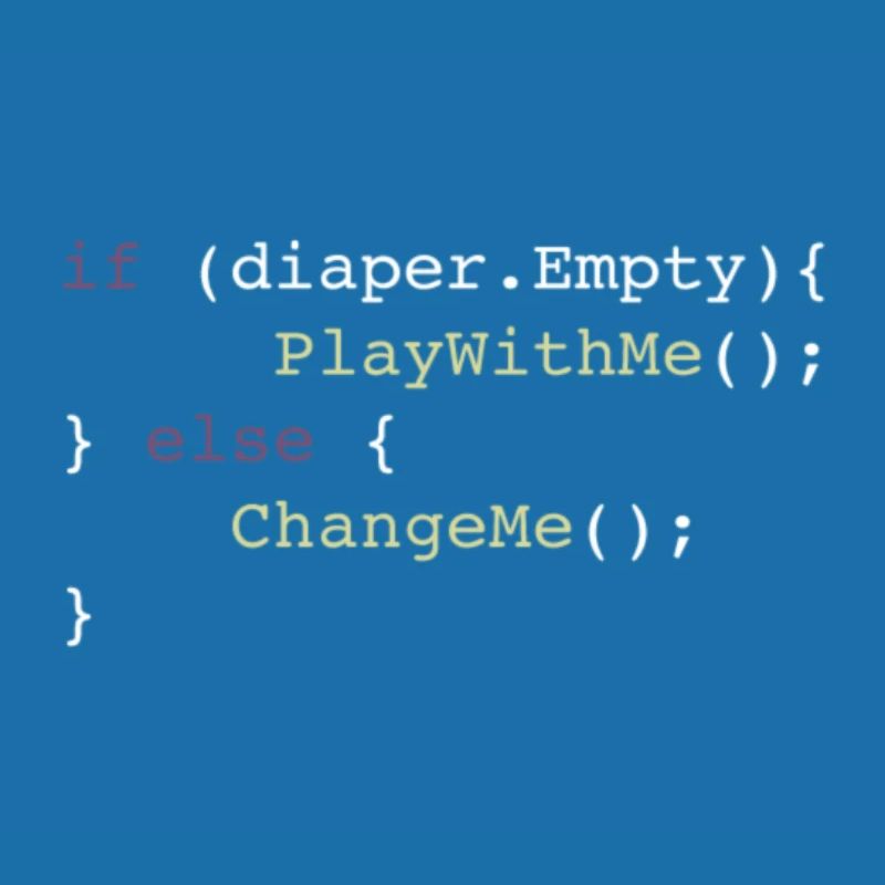 Corps du programmeur