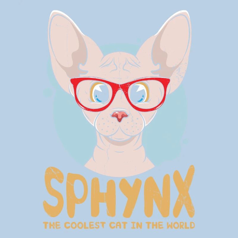Sphynx Le chat le plus cool du monde pour Sphynx Cat