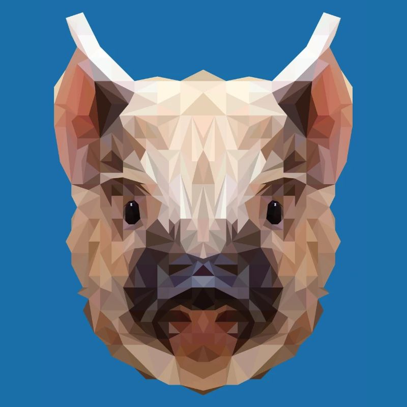 Polygone cochon