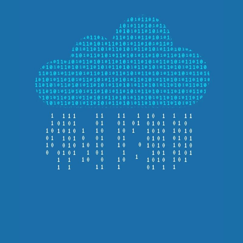 Software Engineer Binary Codes