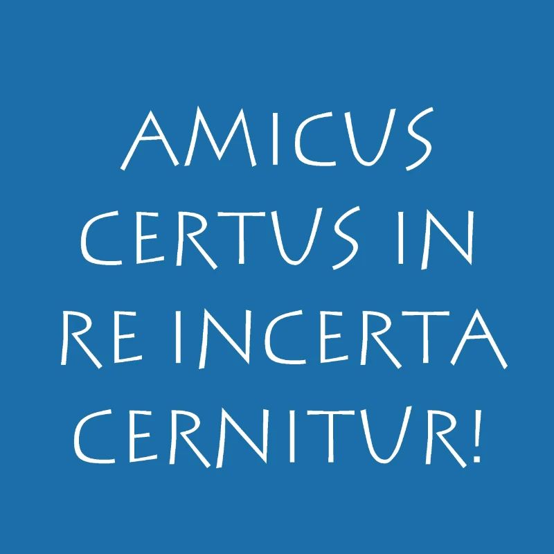 Amicus certus in re incerta cernitur