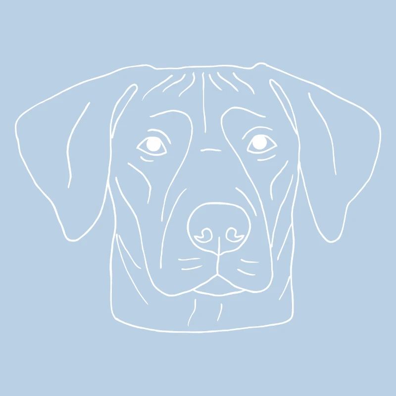 Rhodesian Ridgeback