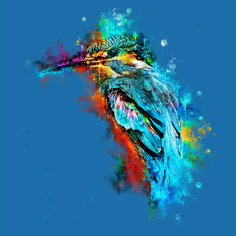 gxp eisvogel kingfisher wasserfarben spritzer