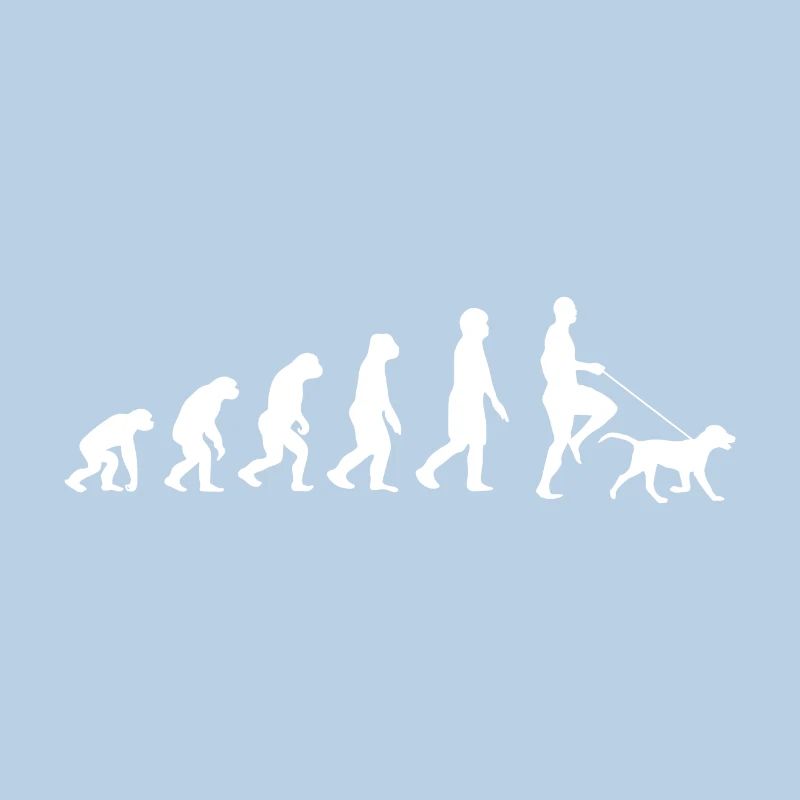 Labrador Evolution
