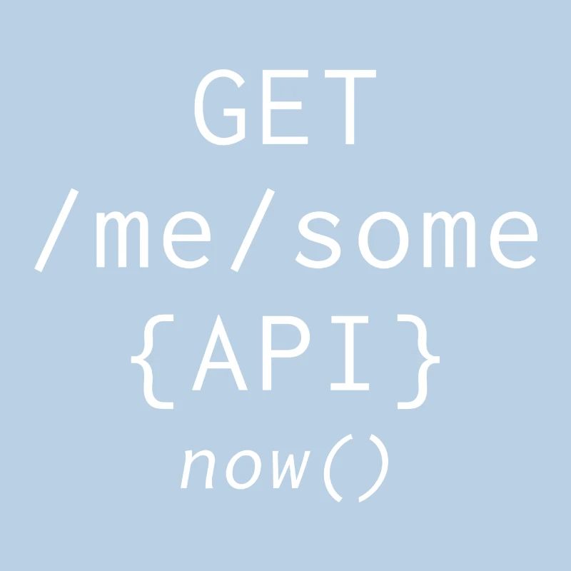 Api Programming Informatic Geschenk Spruch