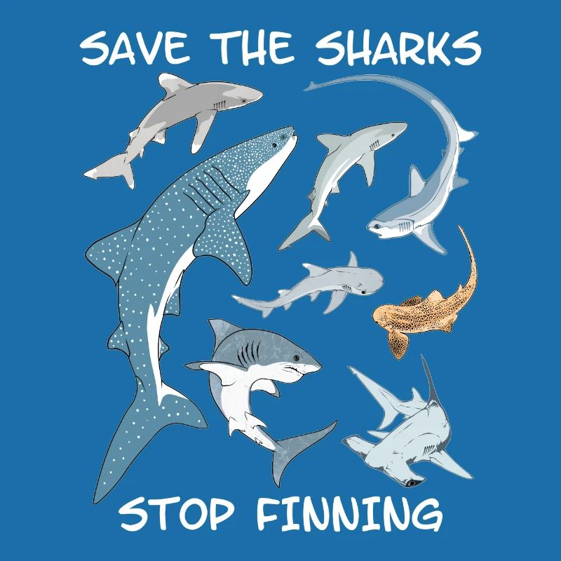Types de requins Espèces de requins