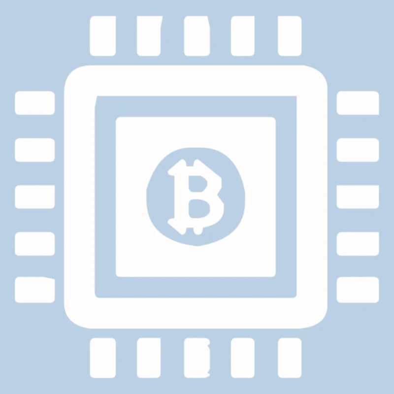 Bitcoin processor