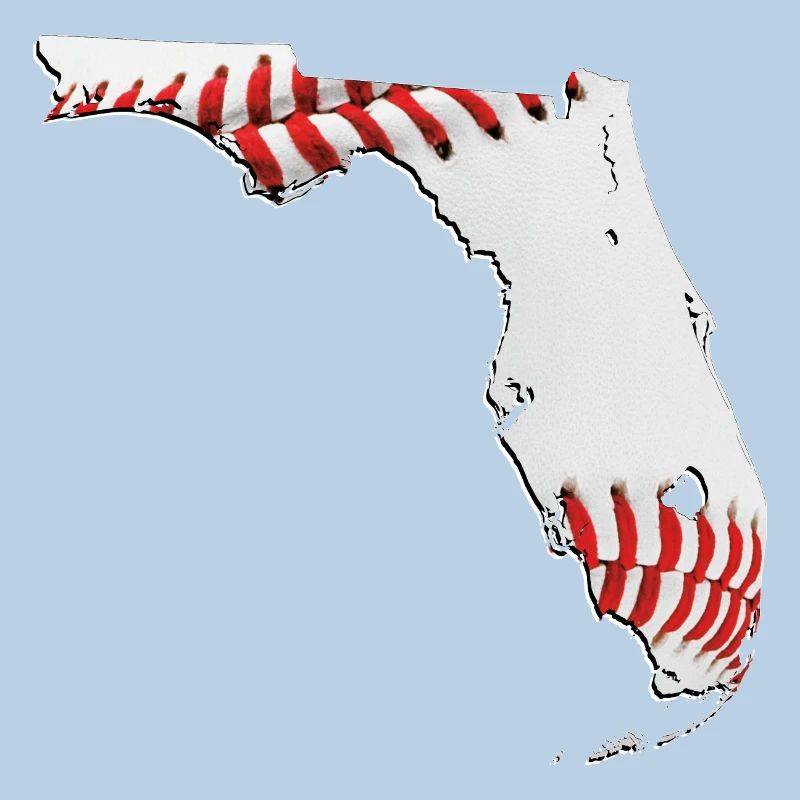 Real Baseball in Florida State Map