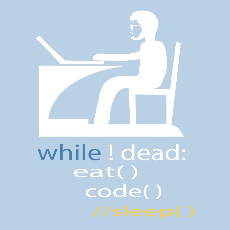 Softwareentwickler Programmierer Geschenk