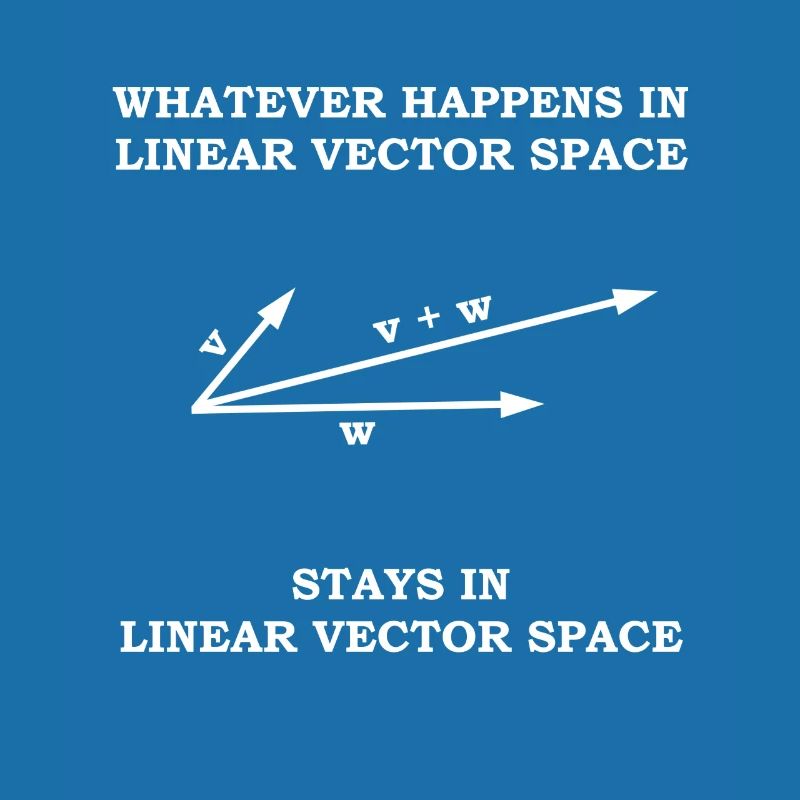 Mathematician vector space math teacher gift