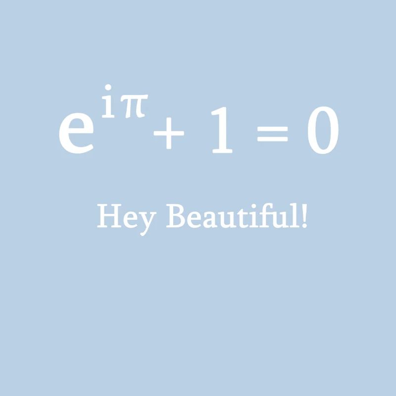Euler identité math mathématicien nerd science pi