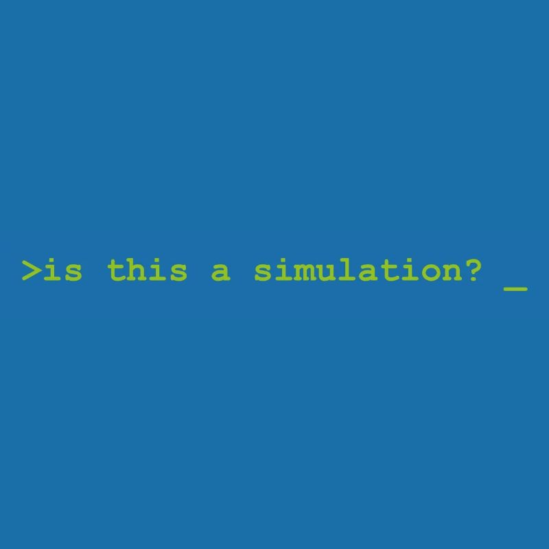 Is this a simulation Programming Informatik