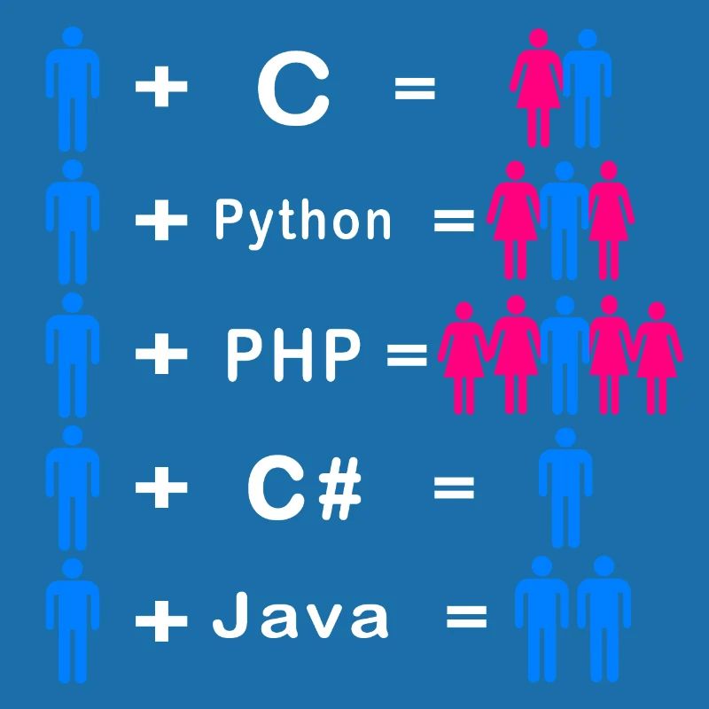 Programmeur