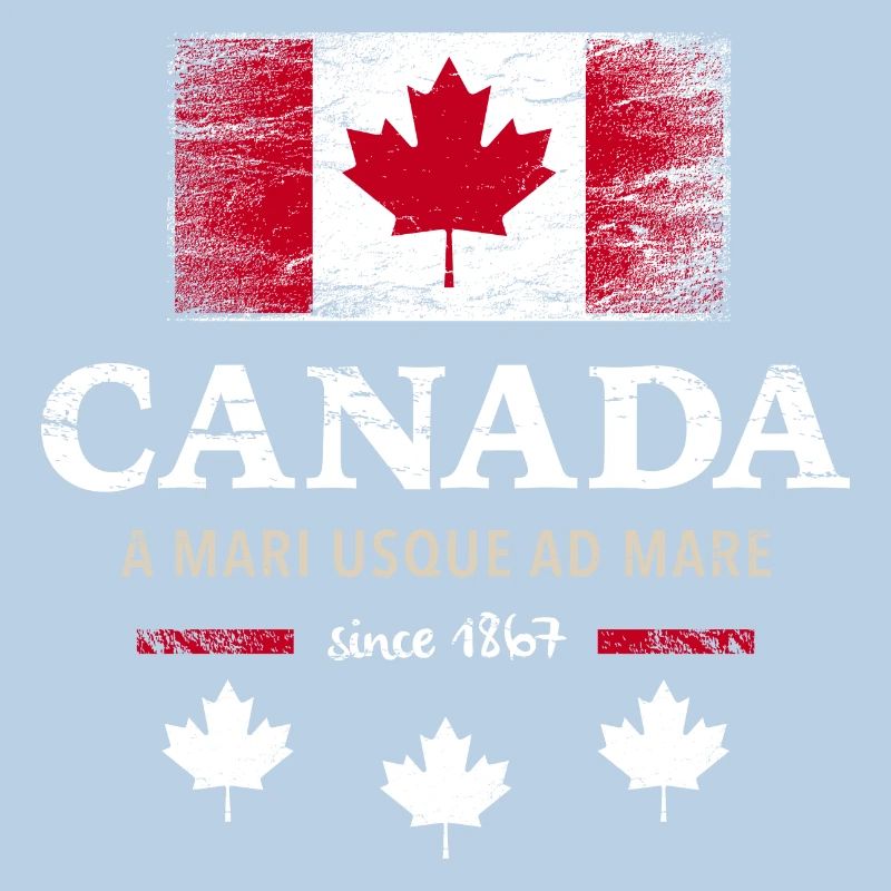 Canada Canada America maple leaf flag flag