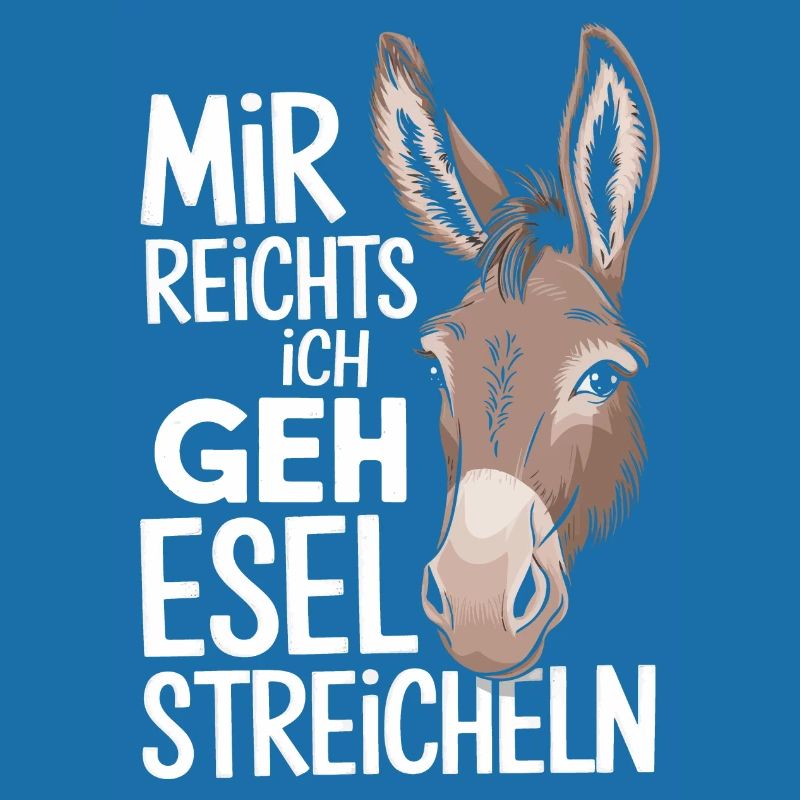 Donkey Donkey Mule Muli