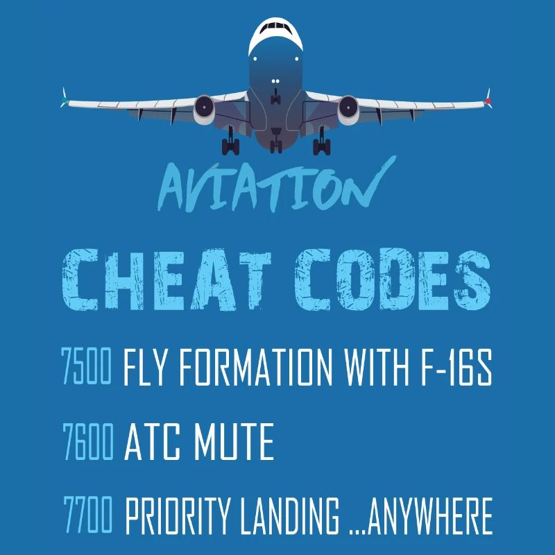 Aviation Cheat Codes