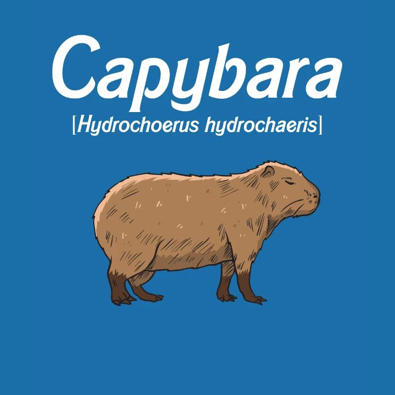 Capybara Gift Idea Cute Capybara Capybara