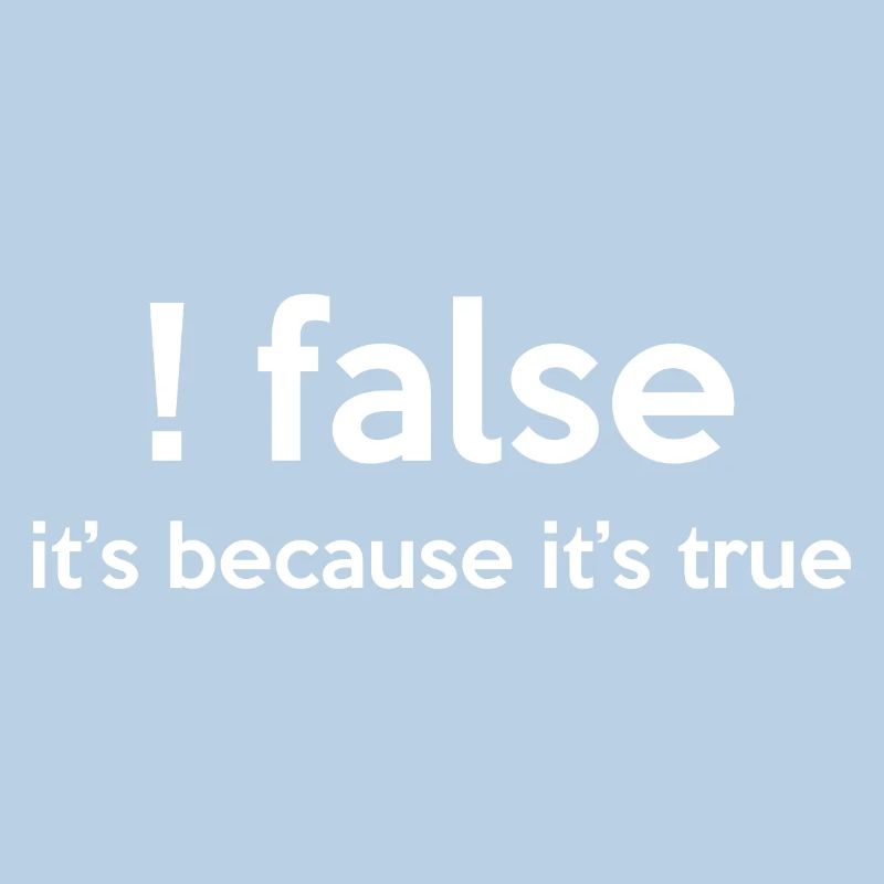 False It's Funny Because It's True Programmer Comp