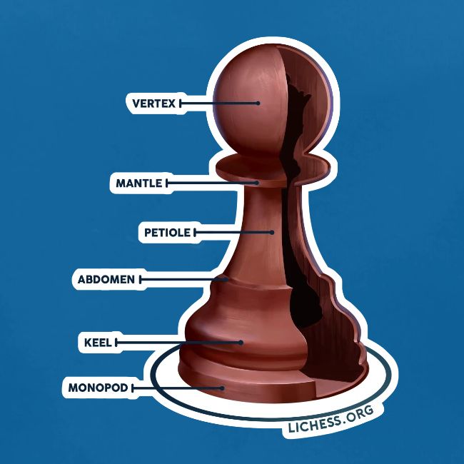 Lichess Pawn