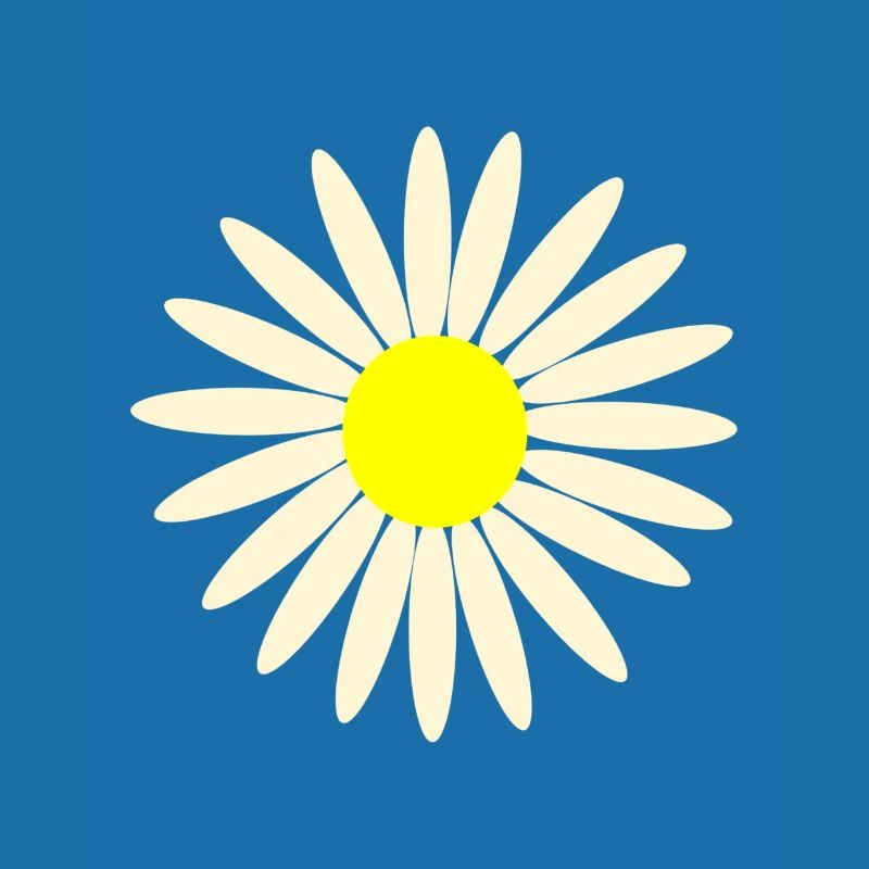 gaensebluemchen