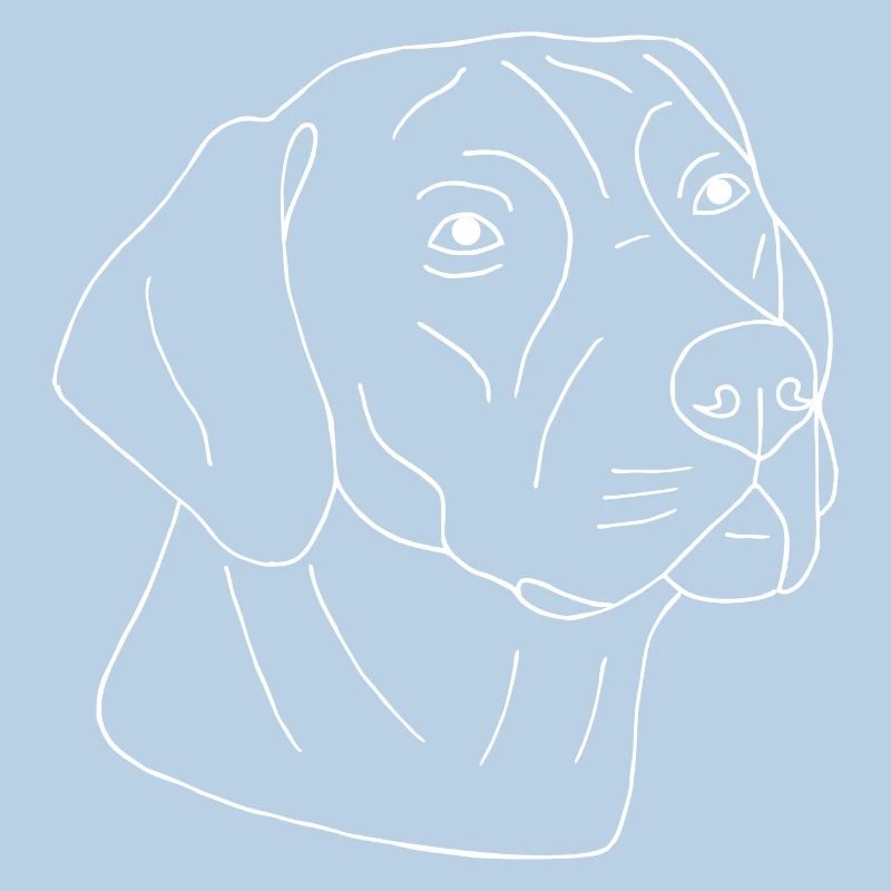 Rhodesian Ridgeback