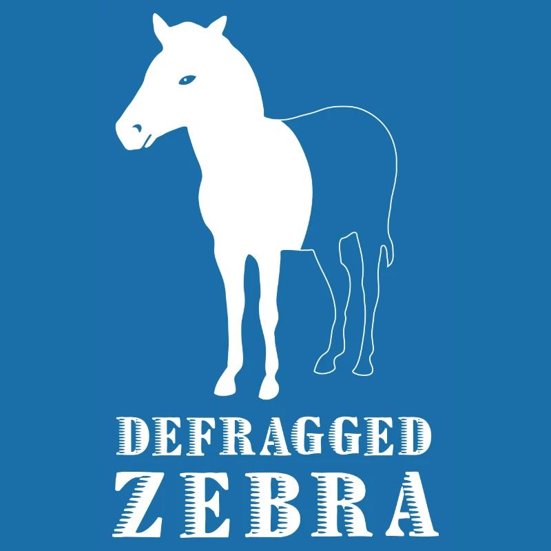 Defragged Zebra Informatiker Admin Geek Geschenk