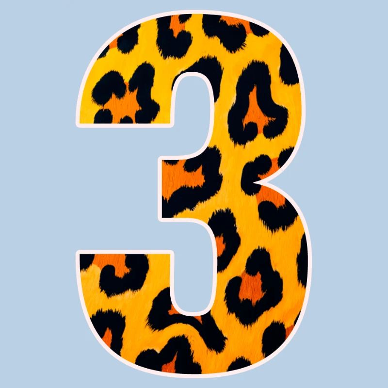 Leopard 3 Number Pattern